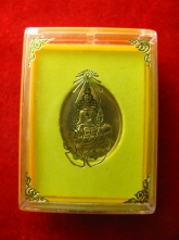 เหรียญพระพุทธนวราชบพิธ ภปร ปี29 พร้อมกล่อง-1