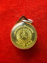 เหรียญเม็ดกระดุม หลวงพ่อแพ วัดพิกุลทอง ปี35