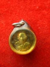 เหรียญเม็ดกระดุม หลวงพ่อแพ วัดพิกุลทอง ปี35